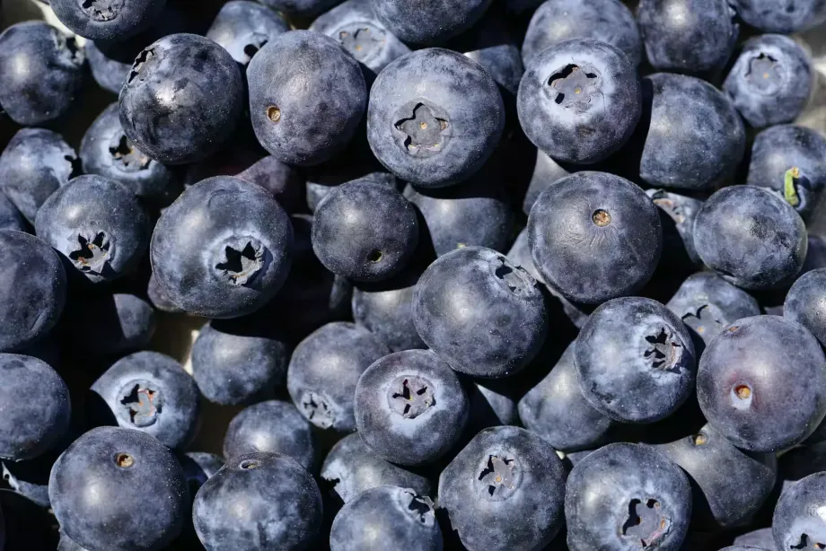 blueberries-4333033